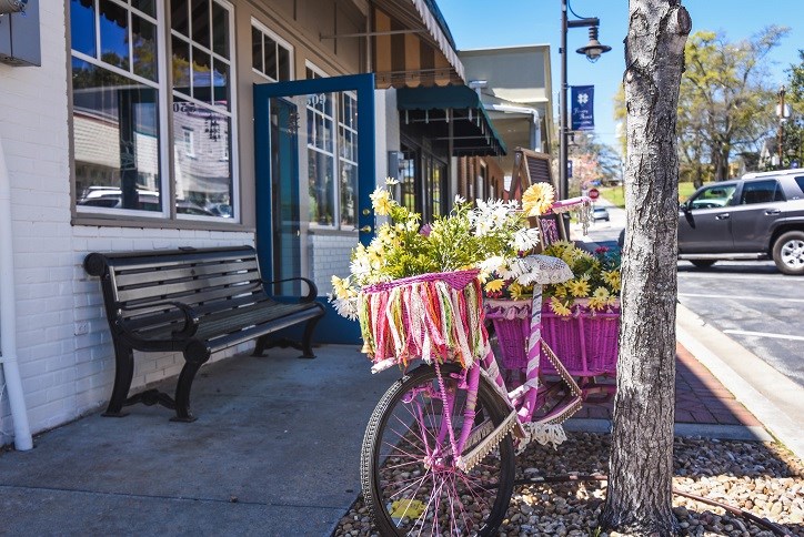 Downtown Flowery Branch with bicycle