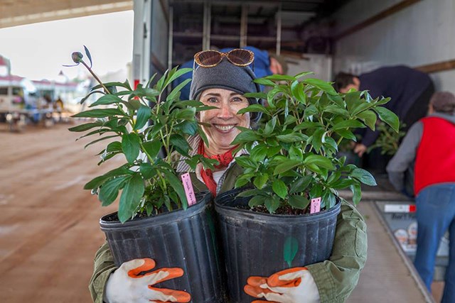 woman with plants