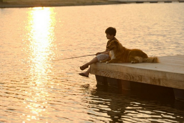 Boy fishing with dog at Sterling on the lake