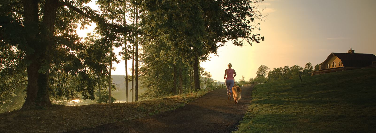 Woman running along tree lined trail at dawn in Sterling on the Lake.