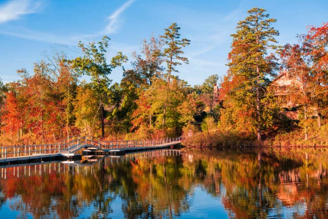 Fall leaves at Lake Sterling in Sterling on the Lake