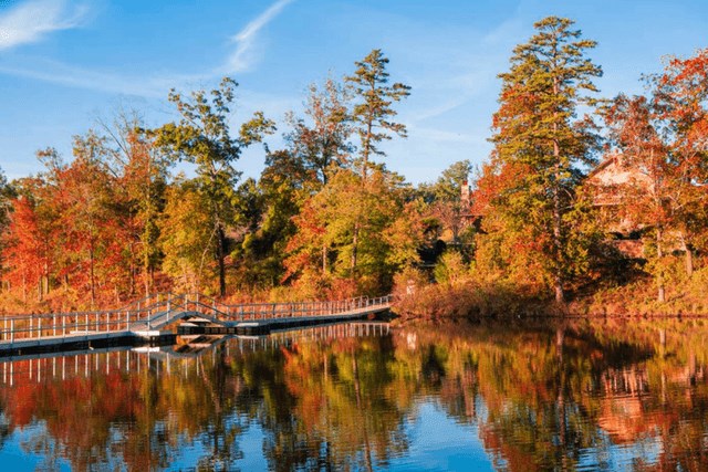 Fall leaves on Lake Sterling at Sterling on the Lake