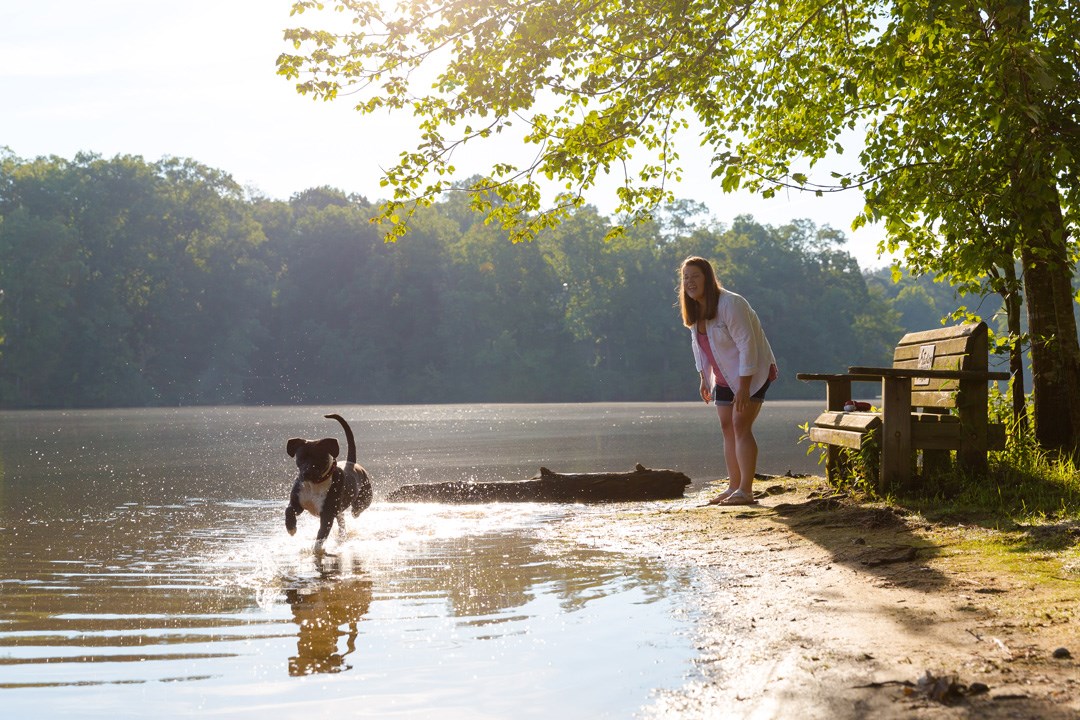 Maggie and Kirby playing fetch at Sterling on the Lake